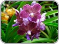 DSCN2944.JPG