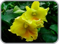 DSCN2945.JPG