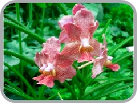 DSCN2947.JPG