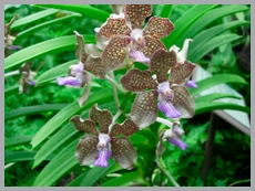 DSCN2948.JPG