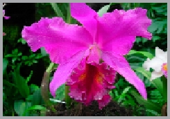 DSCN2949.JPG