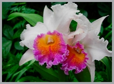 DSCN2950.JPG