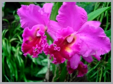 DSCN2953.JPG