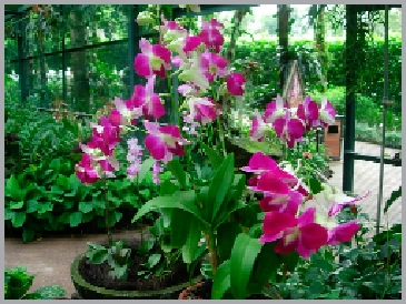 DSCN2954.JPG