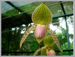 DSCN2959.JPG