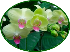 DSCN2960.JPG
