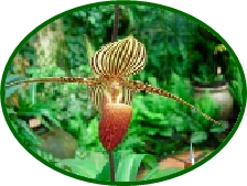 DSCN2962.JPG