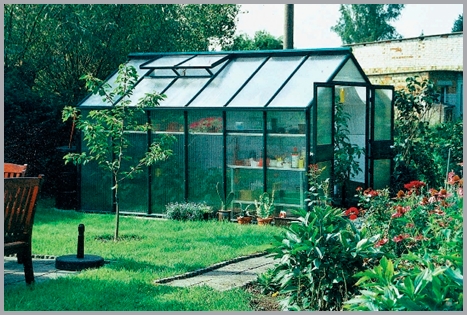 bio-top-II-gruenDDT.jpg