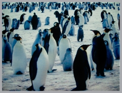 DSCN1636.JPG