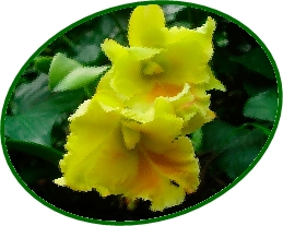 DSCN2945.JPG