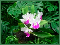 DSCN2951.JPG