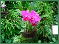 DSCN2952.JPG