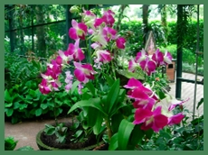 DSCN2954.JPG