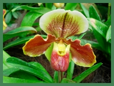DSCN2956.JPG