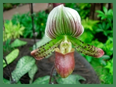 DSCN2957.JPG