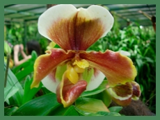 DSCN2958.JPG