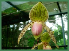 DSCN2959.JPG