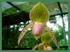DSCN2959.JPG