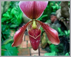 DSCN2963.JPG