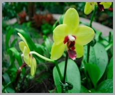 DSCN2965.JPG