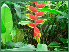 DSCN2978.JPG