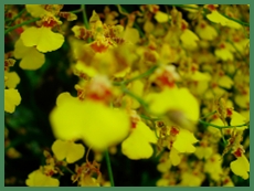 DSCN2985.JPG