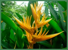 DSCN2995.JPG