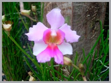 DSCN3001.JPG