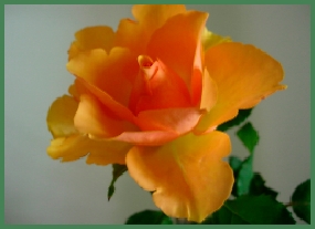 DSCN4075.JPG