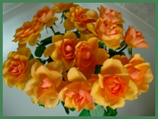 DSCN4078.JPG