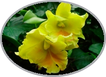 DSCN2945.JPG
