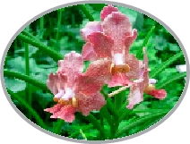 DSCN2947.JPG