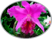 DSCN2949.JPG