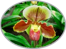DSCN2956.JPG