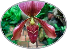 DSCN2963.JPG